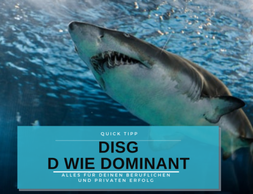 DISG – Der Dominante Typ