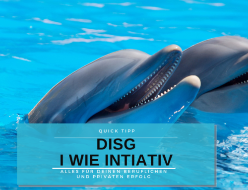 DISG – Der Initiative Typ