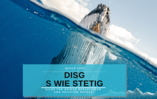 Micha M Barth personalMENTORING businessMENTORING - PERSÖNLICHKEIT - DISG S WIE STETIG - Twitter