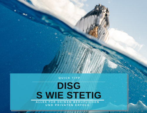 DISG – Der Stetige Typ